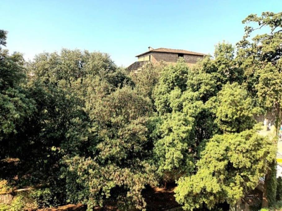 * * * * * Casa Vista Boboli Nel Cuore Di Firenze Ngoại thất bức ảnh