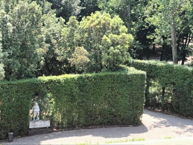 * * * * * Casa Vista Boboli Nel Cuore Di Firenze Ngoại thất bức ảnh
